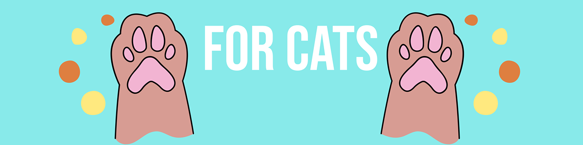 Cat toys and accessories