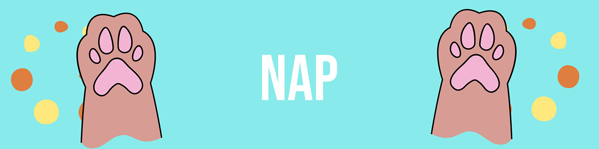 Nap