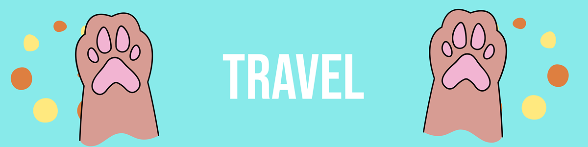 Traveling Cats