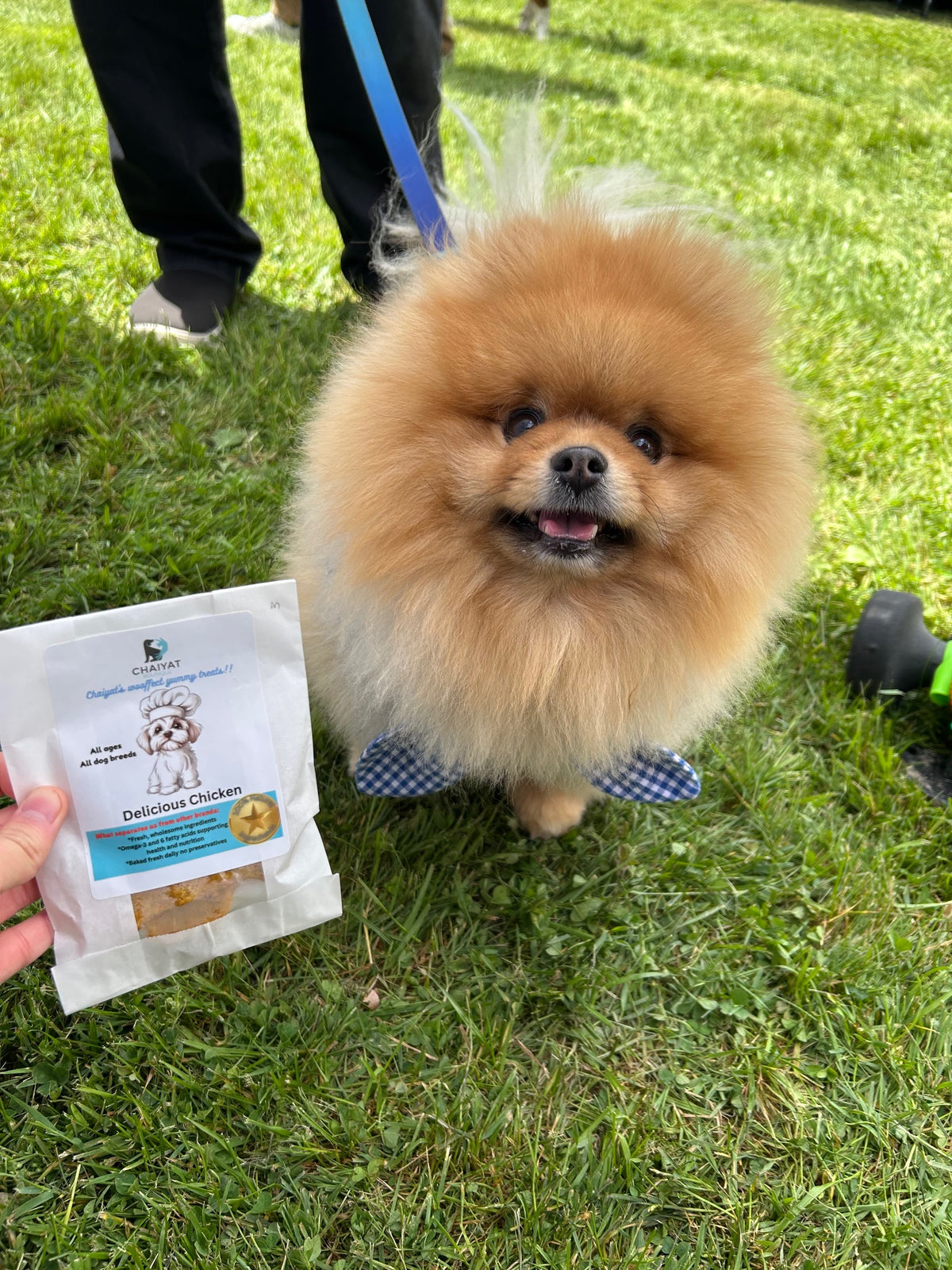 Delicious Chicken Dog Treats