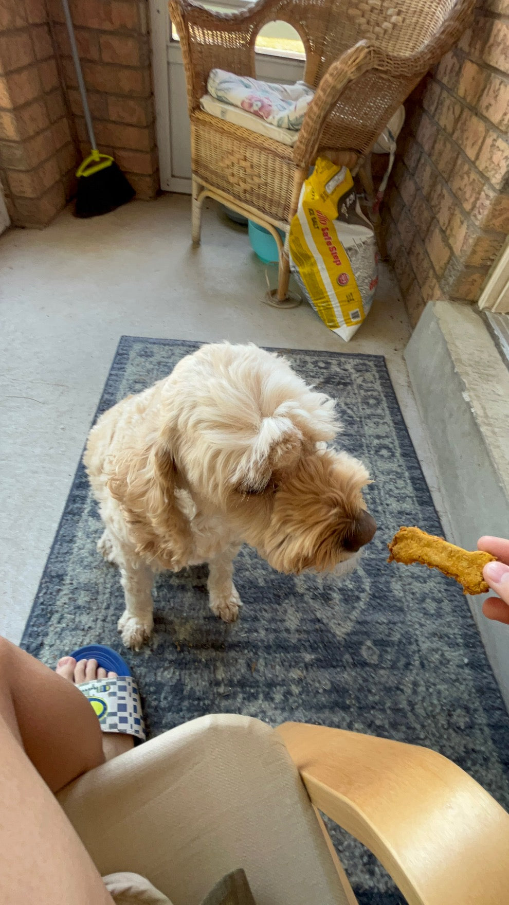Delicious Chicken Dog Treats