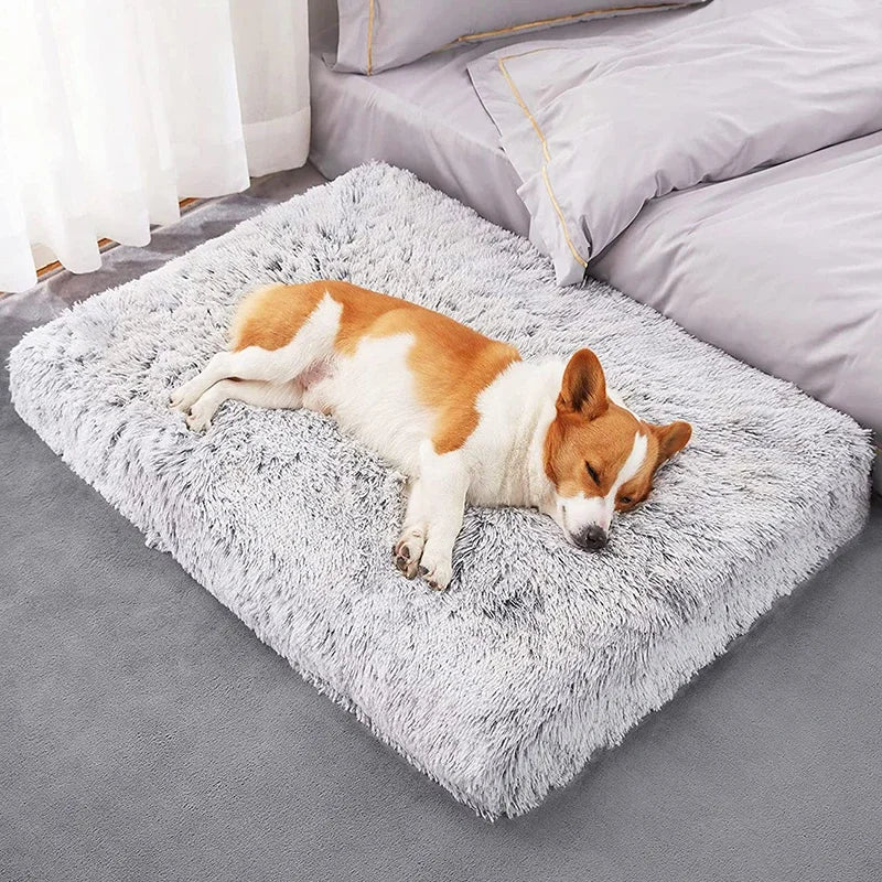 Lux Long Plush Dog Bed