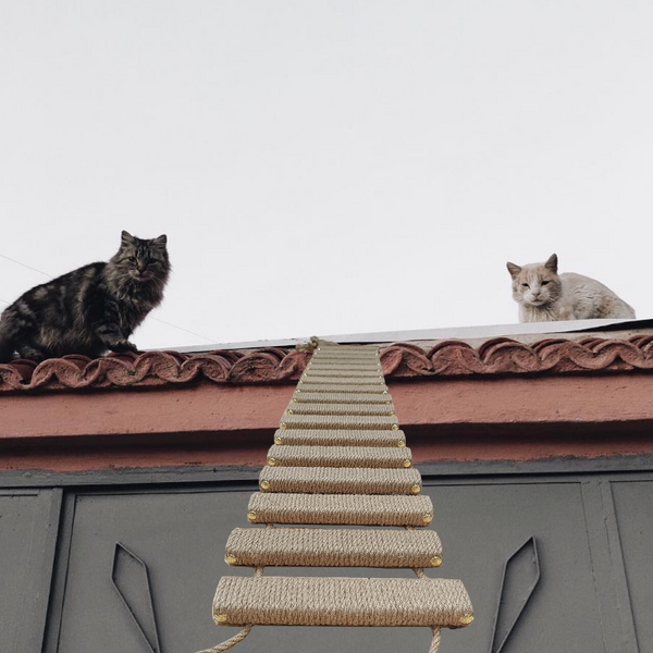 Sisal Rope Cat Ladder or Bridge Chaiyat Boutique