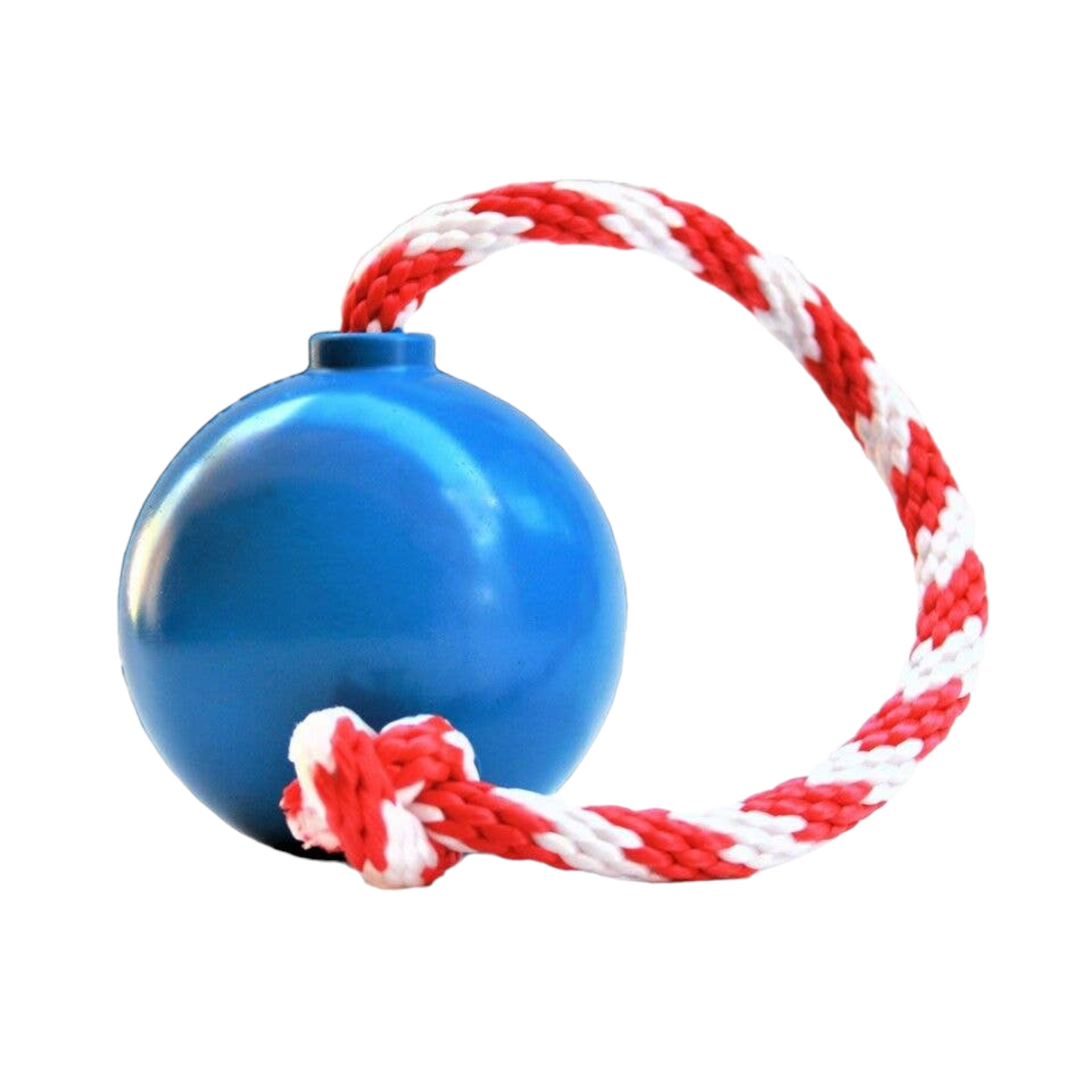 ball and rope dog toy