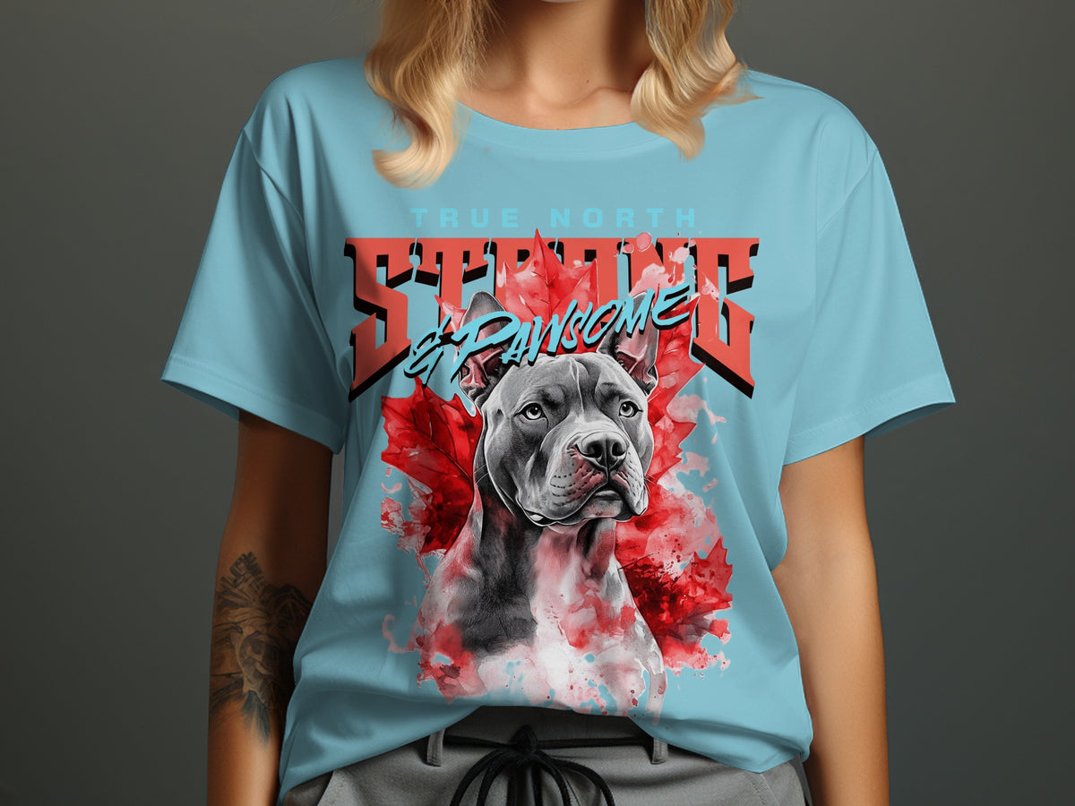 True North Strong and Awesome T-Shirt product type