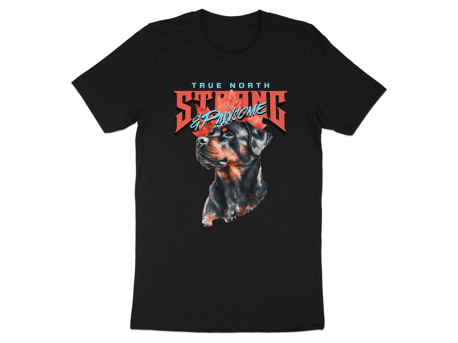 True North Strong and Awesome T-Shirt product type