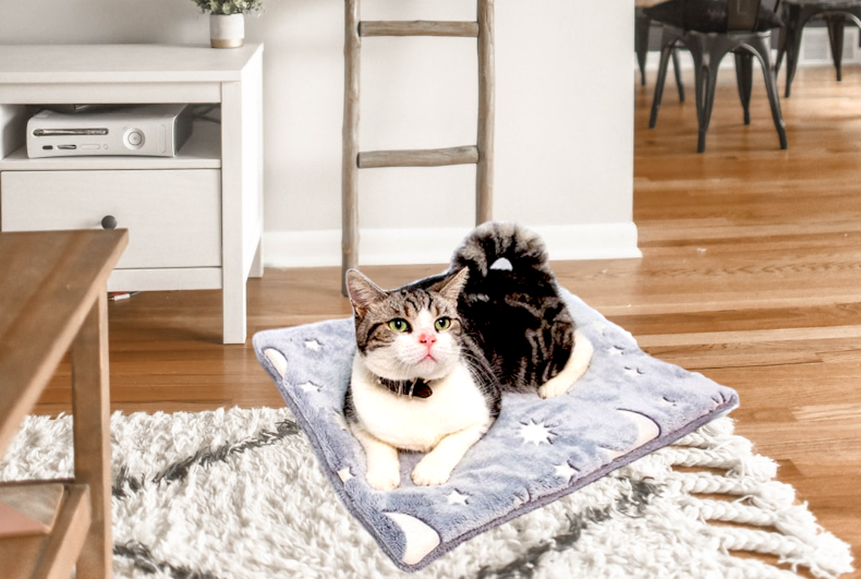 Fleece Cat and Dog Mat Mat Glow-In-The-Dark