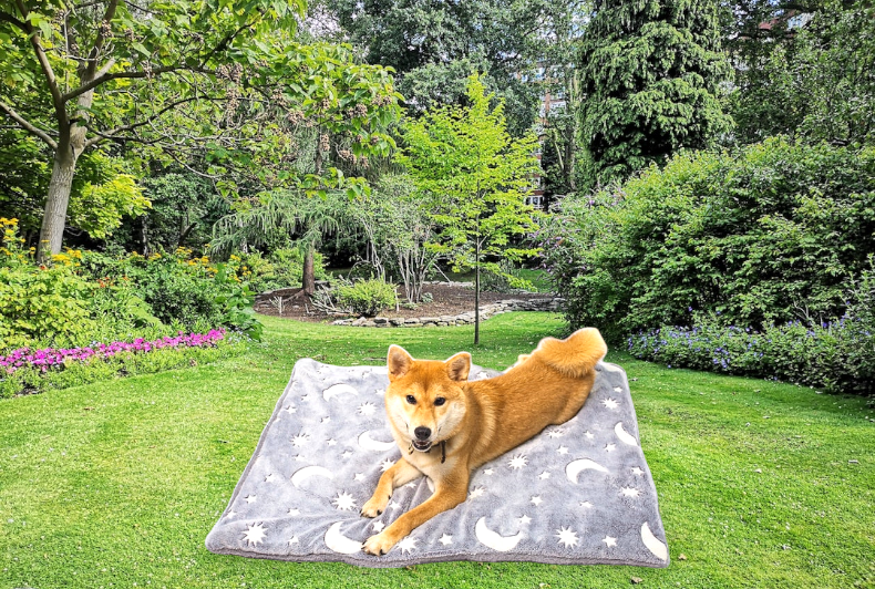 Fleece Cat and Dog Mat Mat Glow-In-The-Dark