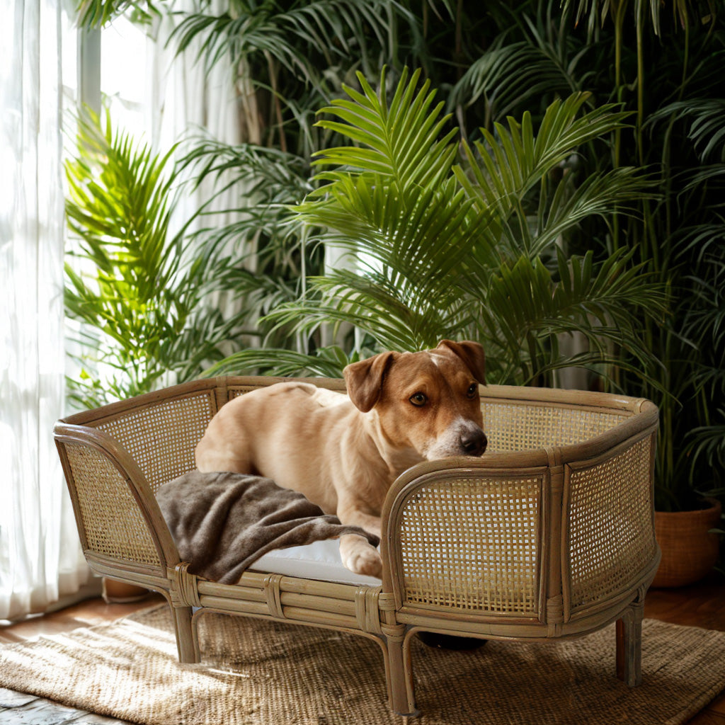 Rattan dog fashion