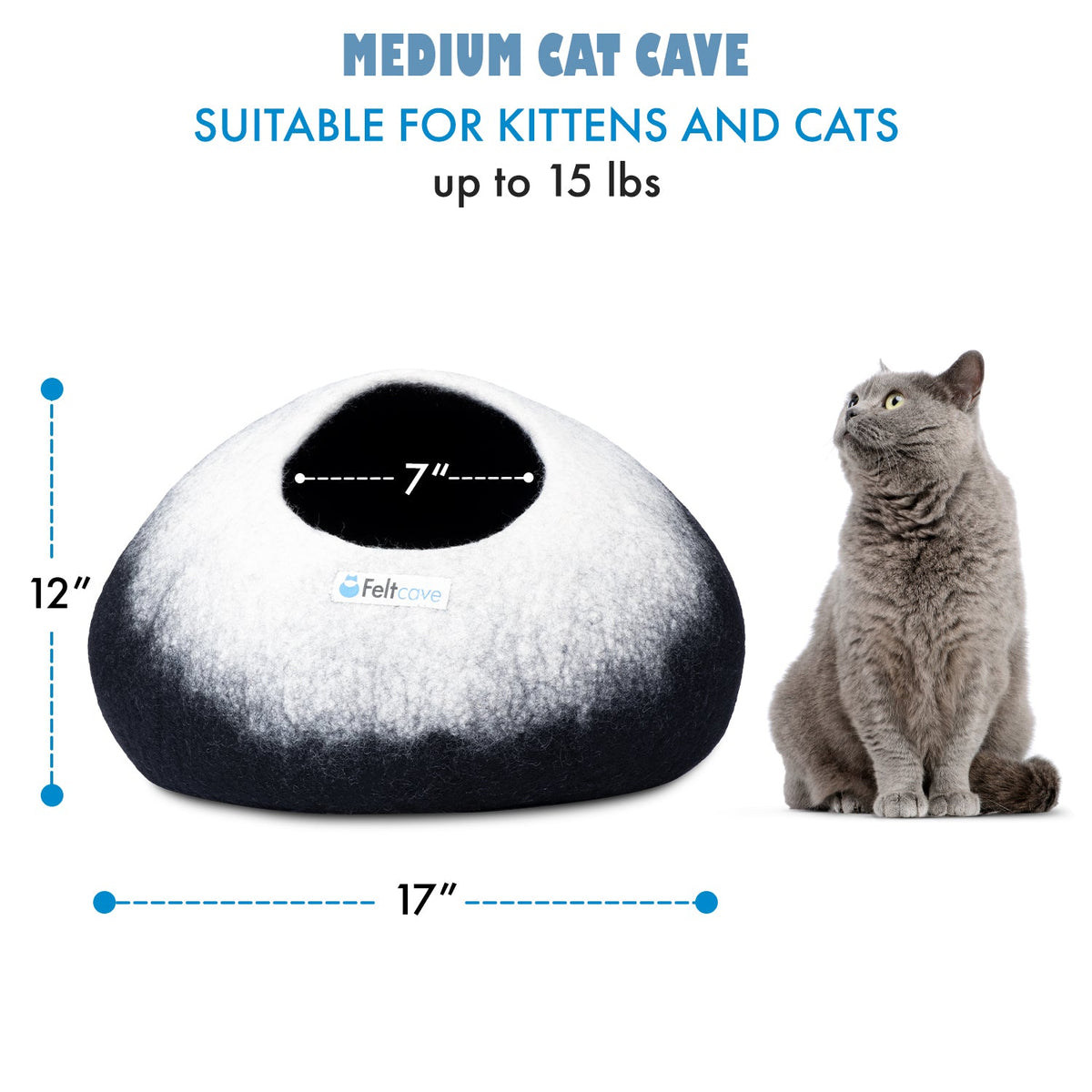 cat cave black and white