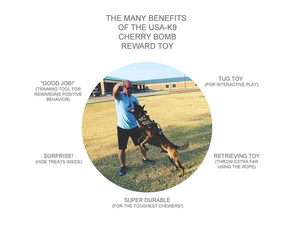 reward toy dogs