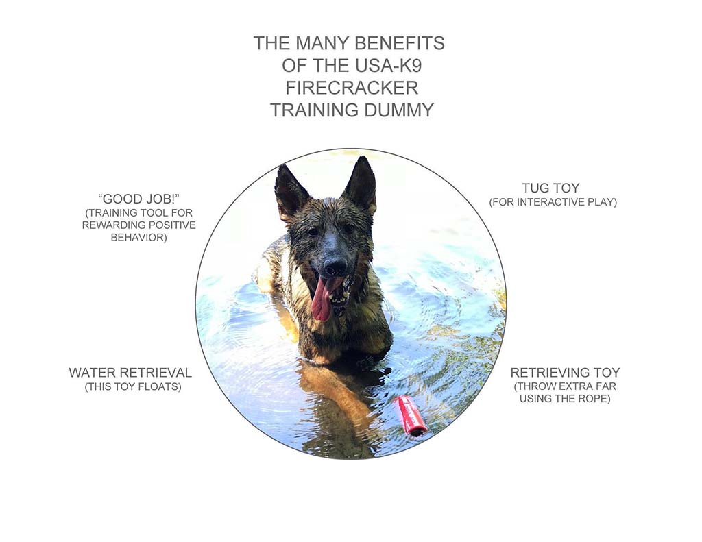 training toy for pets