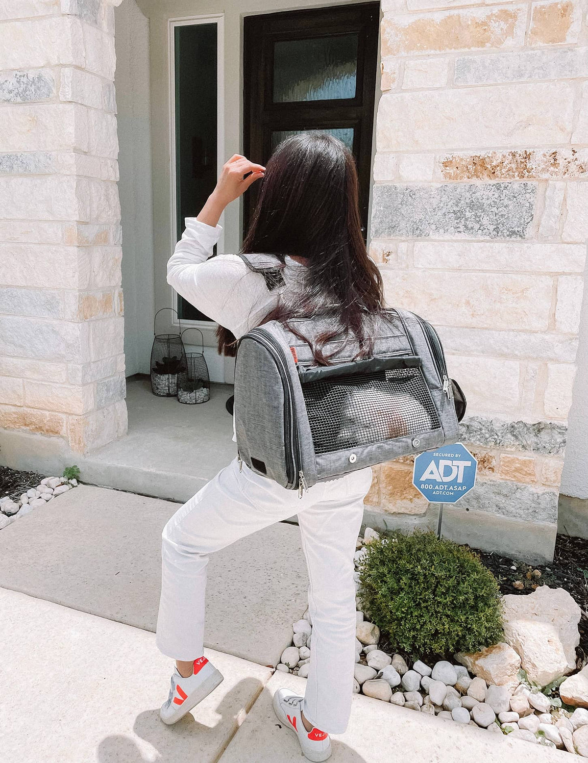 pet backpack