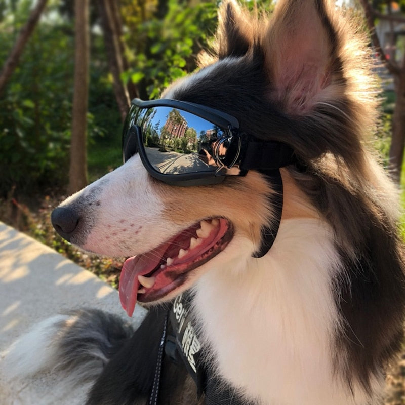 Adjustable Pet Dog Goggles Sunglasses Eye Protection from UV, Water and Wind