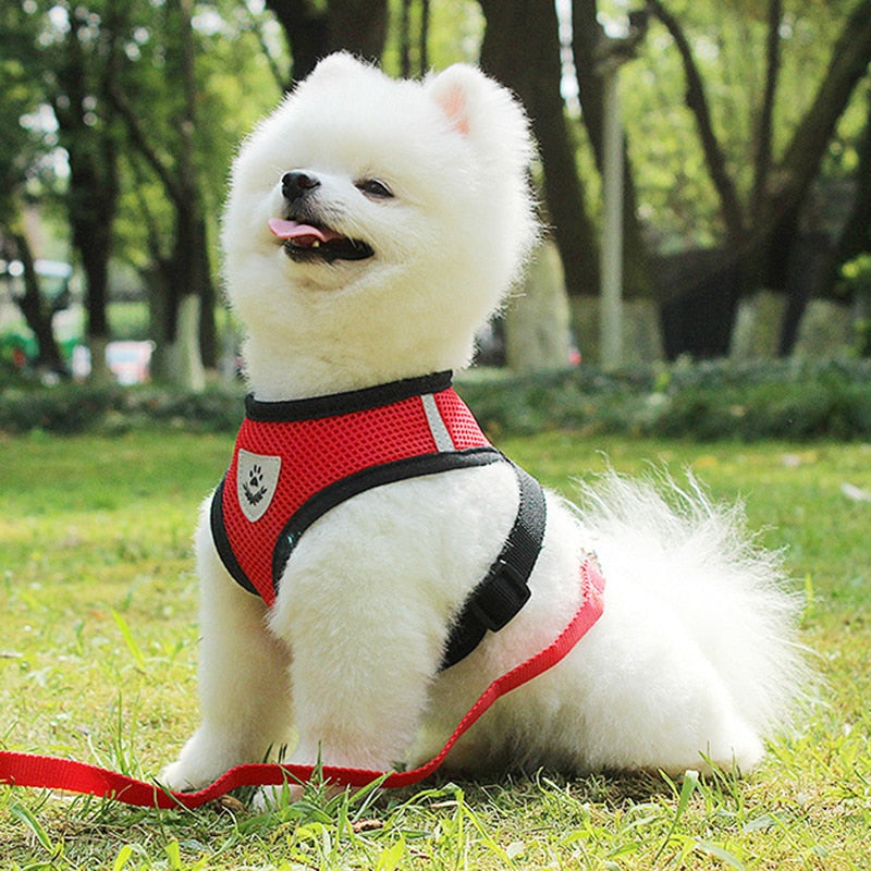 New Dog Harness for Small Dogs Leash and Collar Set Chihuahua