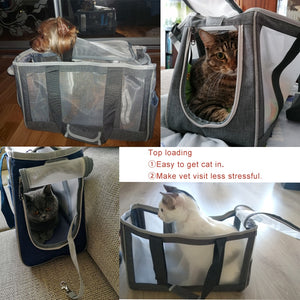 See Thru Cat or Puppy Carrier Handbag - Chaiyat Boutique